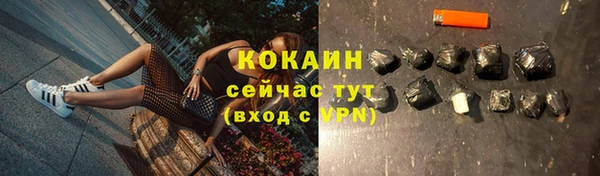 мяу мяу мука Покачи