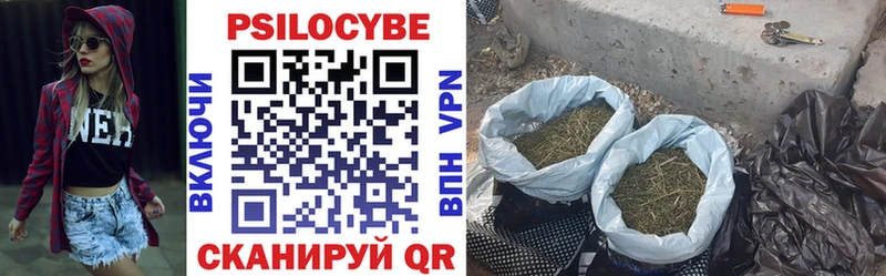Галлюциногенные грибы Magic Shrooms  продажа наркотиков  Удомля 