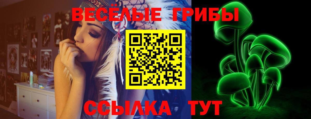 закладки  Вход с VPN  Удомля  Псилоцибиновые грибы Psilocybe 